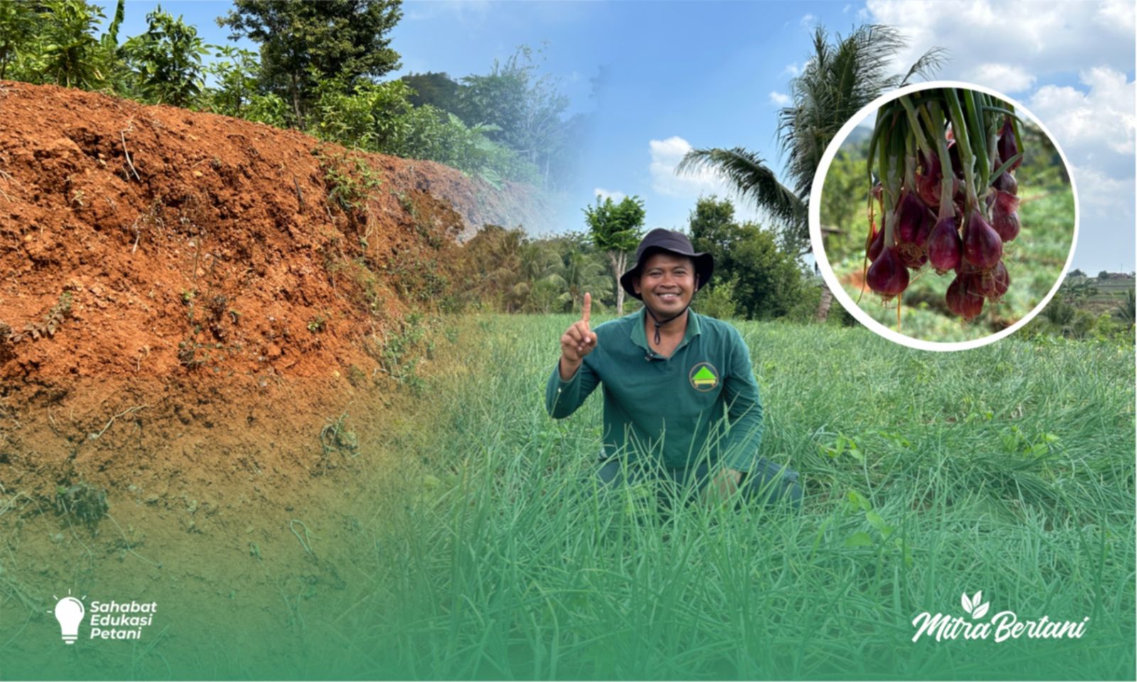 Menggali Kebahagiaan di Kebun Bawang Merah & Cabe Cilacap